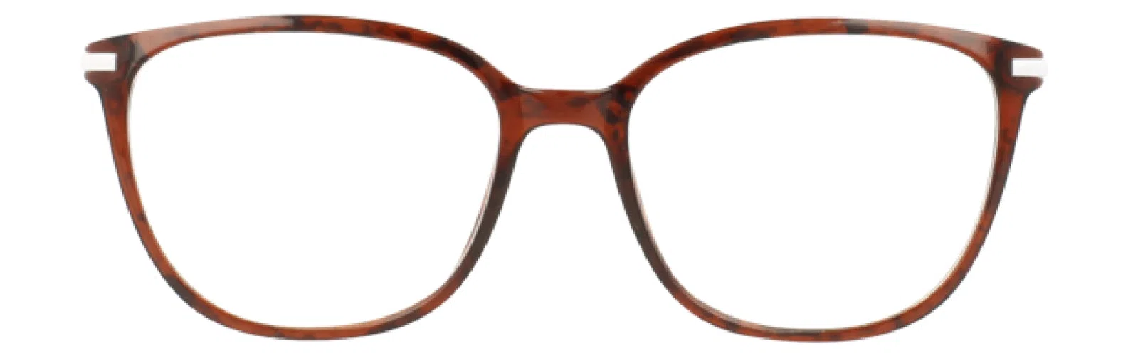 Via Spiga VSGemella Eyeglasses - Dove - view 12